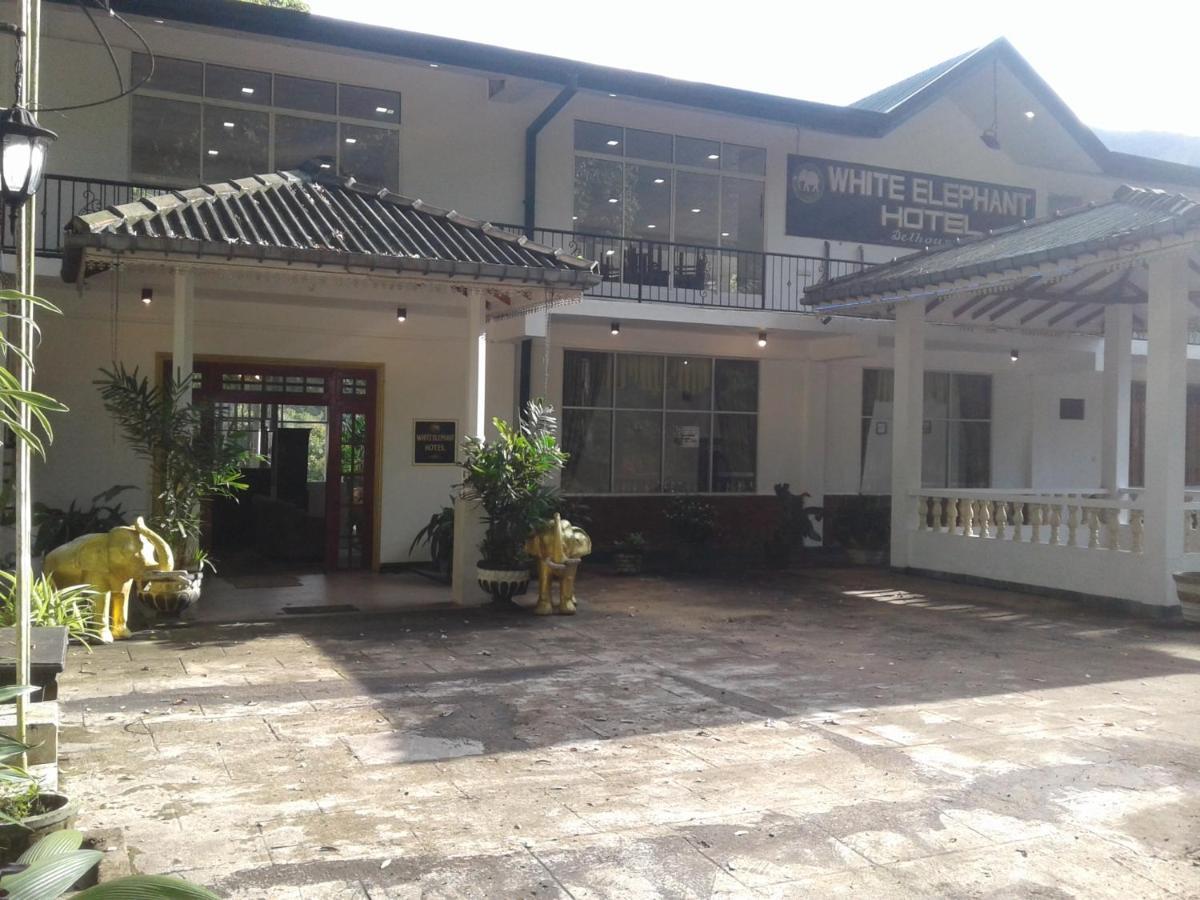 White Elephant Hotel Maskeliya Extérieur photo